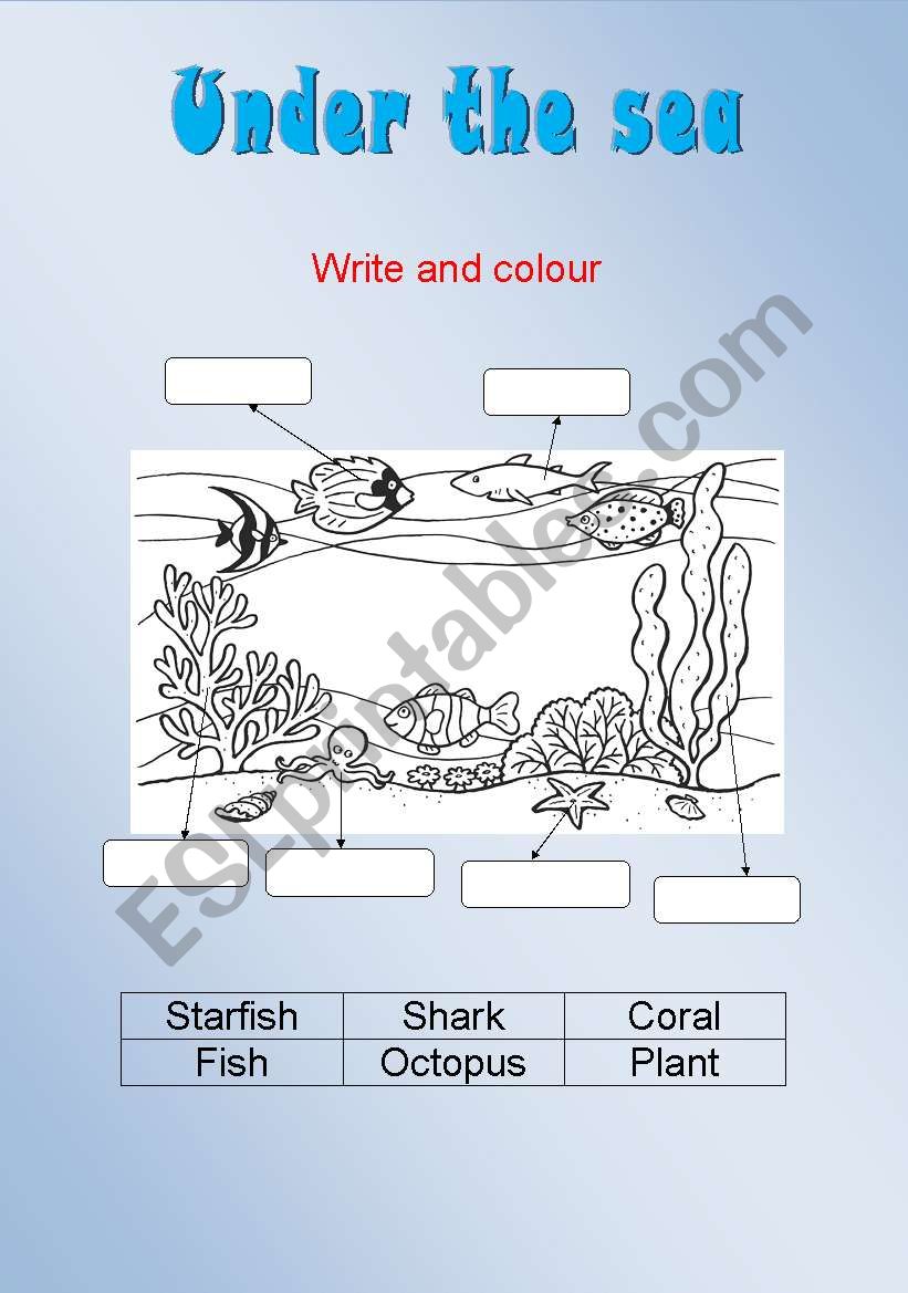 Under the Sea  worksheet