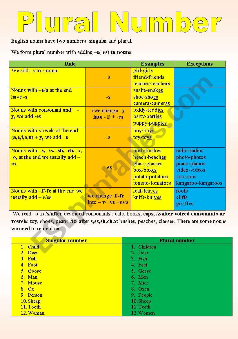 plural number worksheet