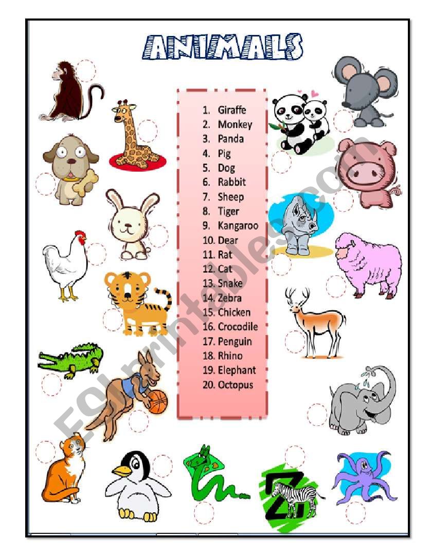 animals worksheet