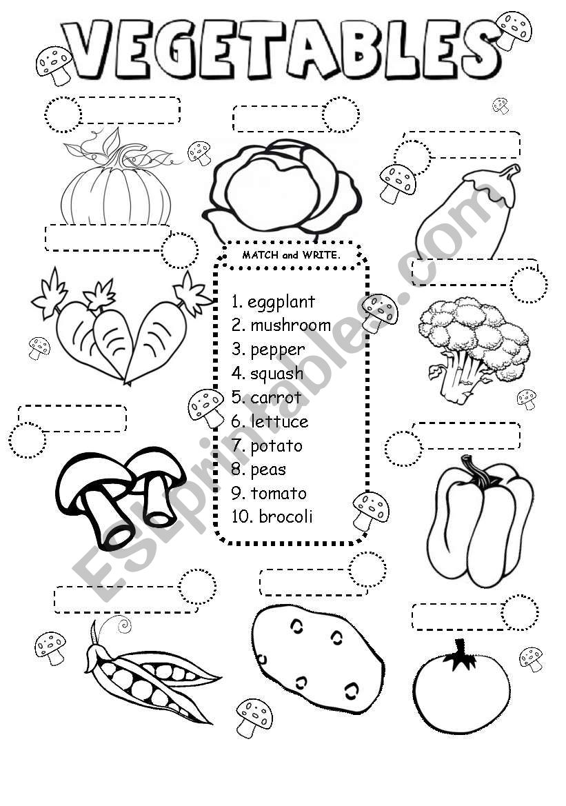 VEGETABLE  worksheet