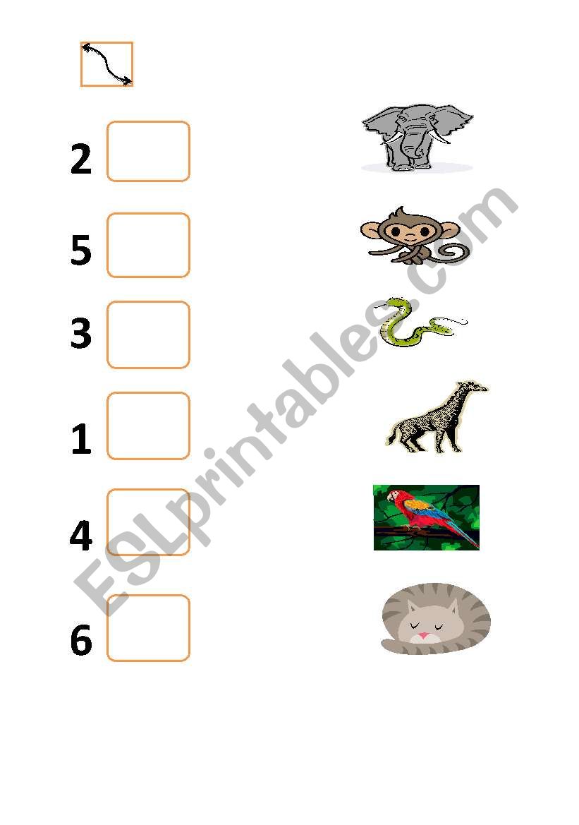 Animals worksheet