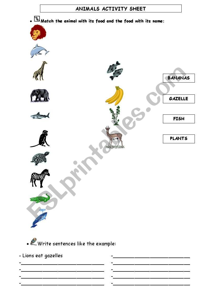 WILD ANIMALS AND THEIR FOOD worksheet