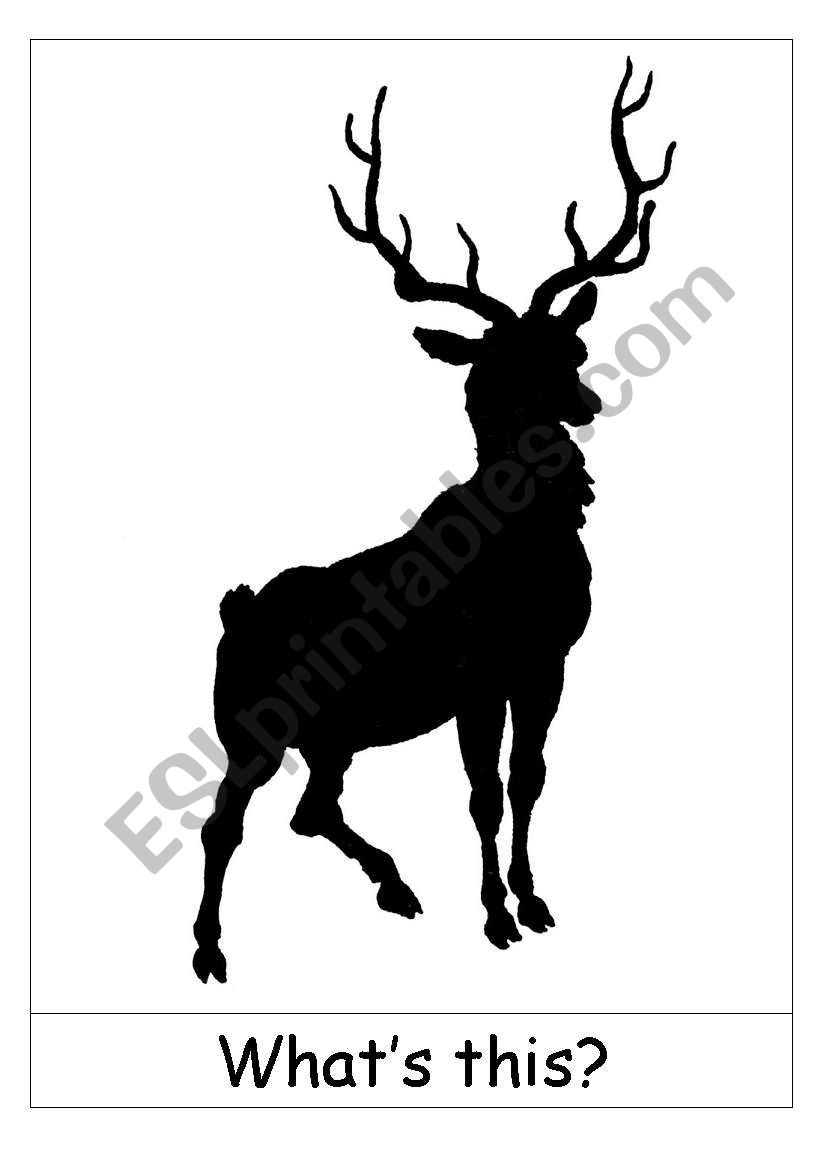 WhatÂ´s this - silhouette flashcards x 30