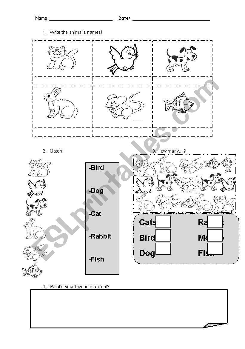 Animals worksheet