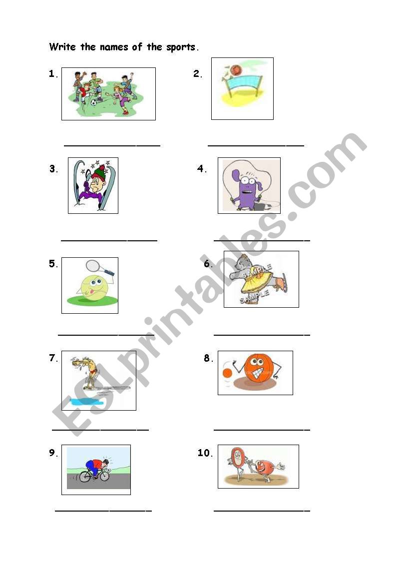 sports worksheet