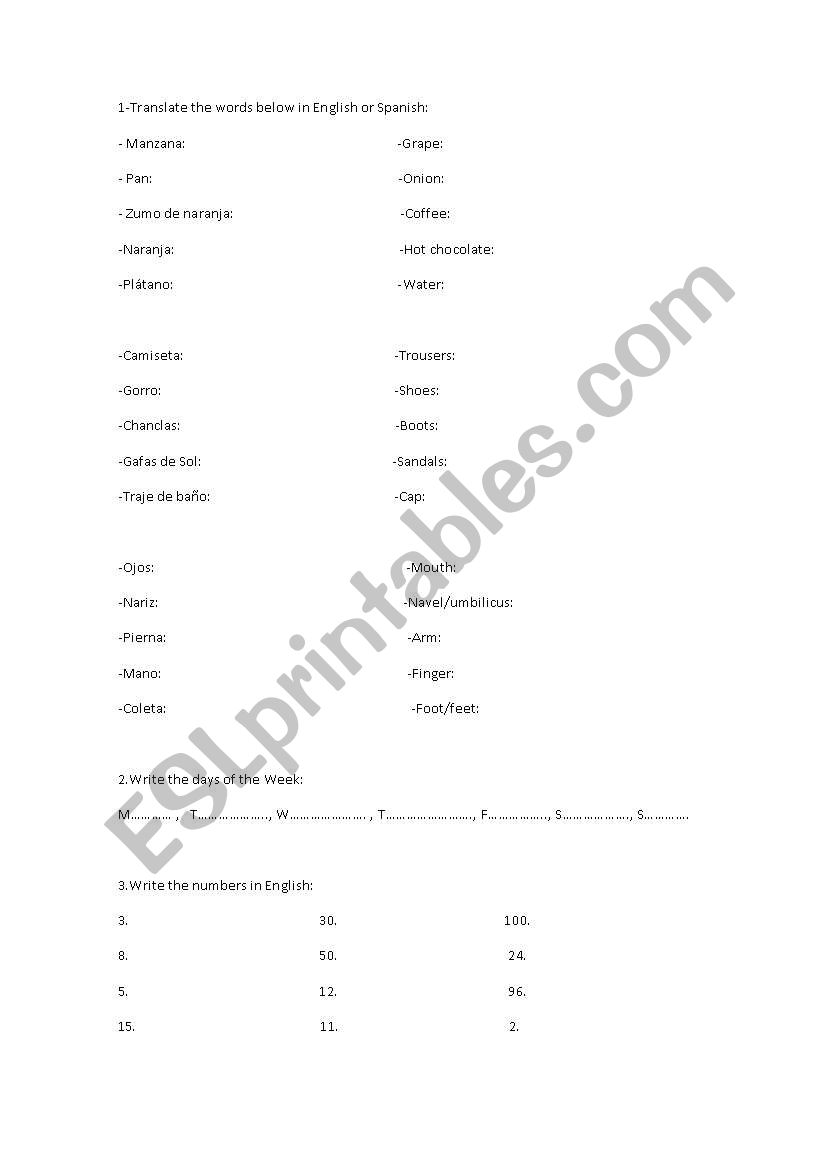 vocabulary worksheet