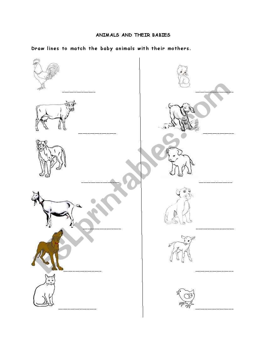 Animals and their babies worksheet