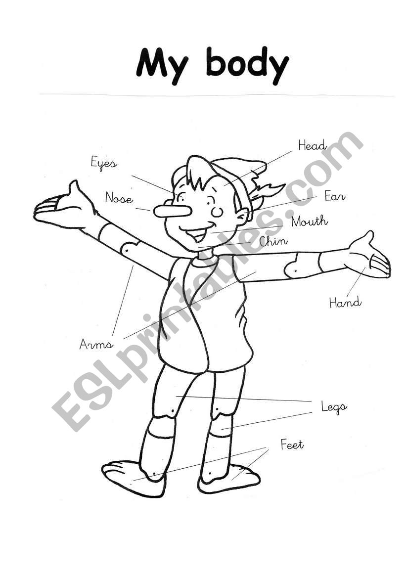 Pinocchios body parts worksheet