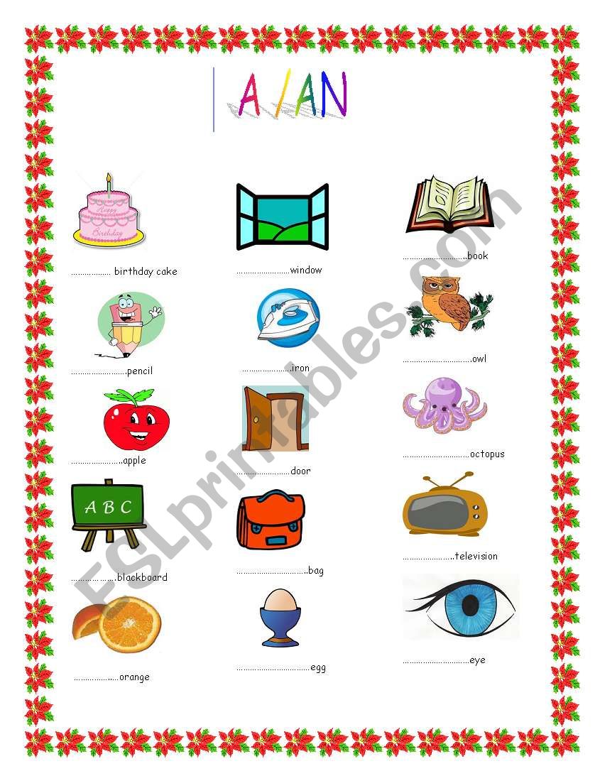 a / an worksheet