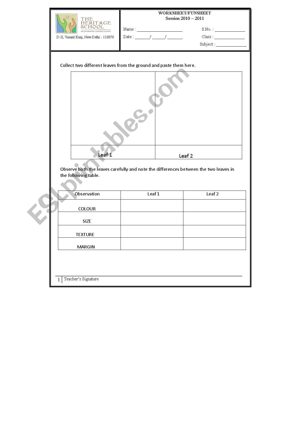 Leaves worksheet