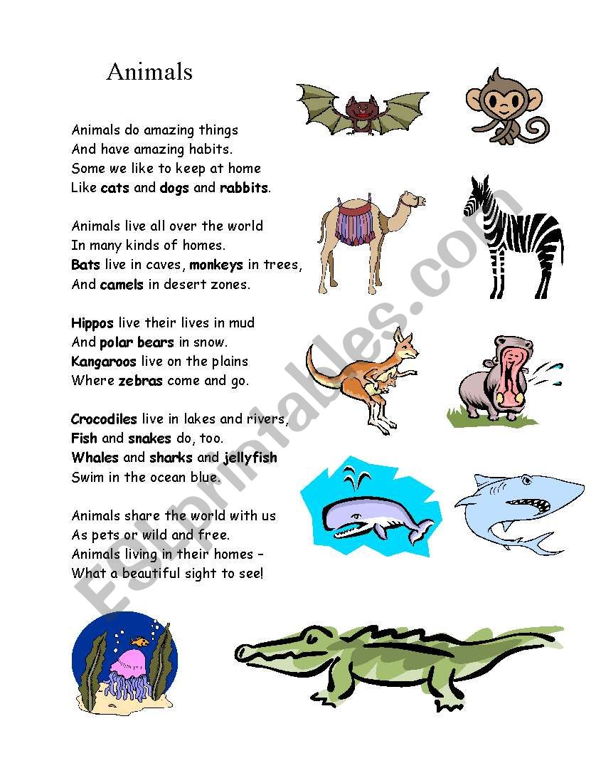 Animal-poem - ESL worksheet by giordas16