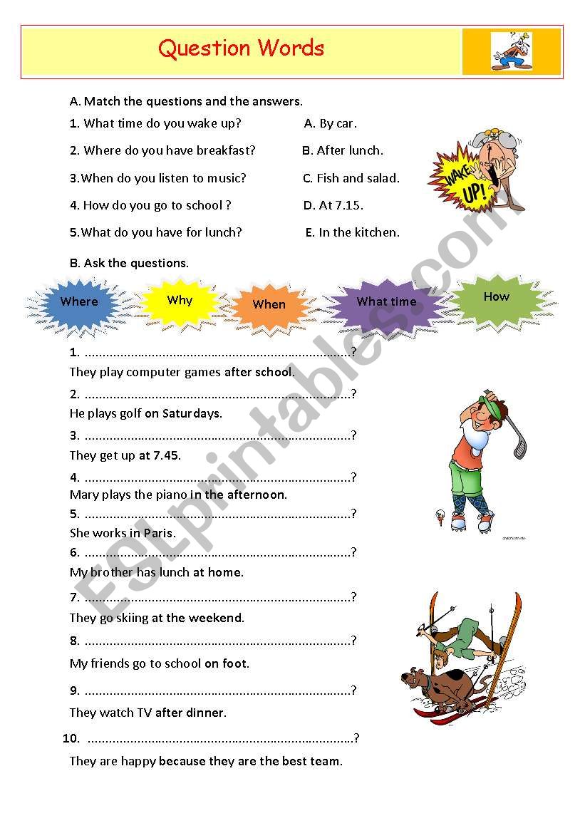 question words worksheet