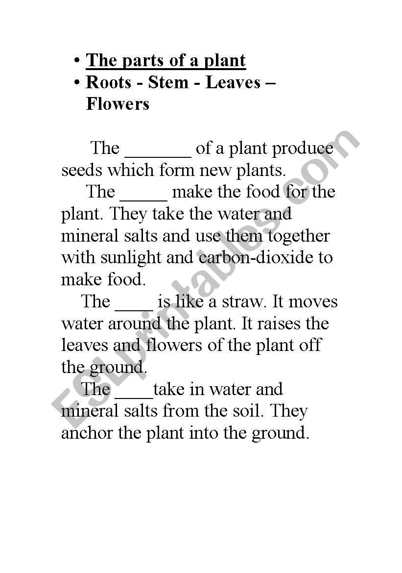 Parts of a plant worksheet