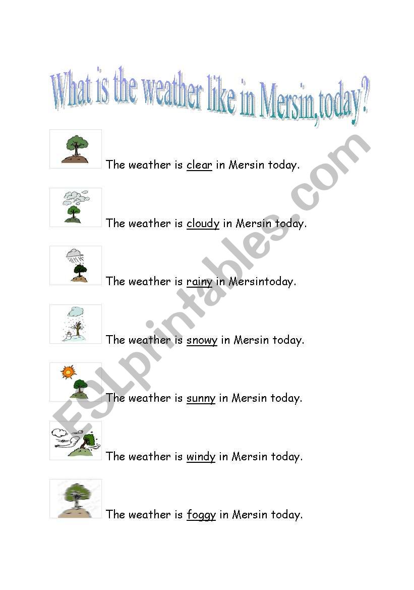what is the weather like worksheet