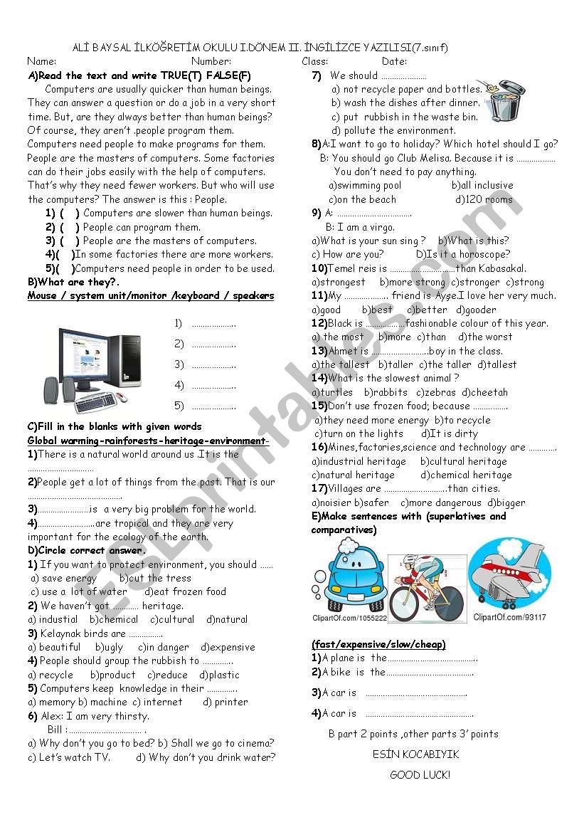 exam sheet or worksheet  worksheet