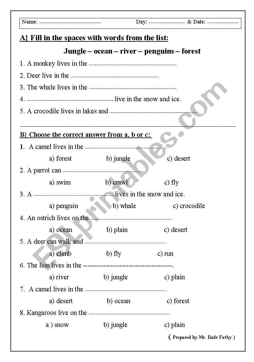 Animal Homes worksheet
