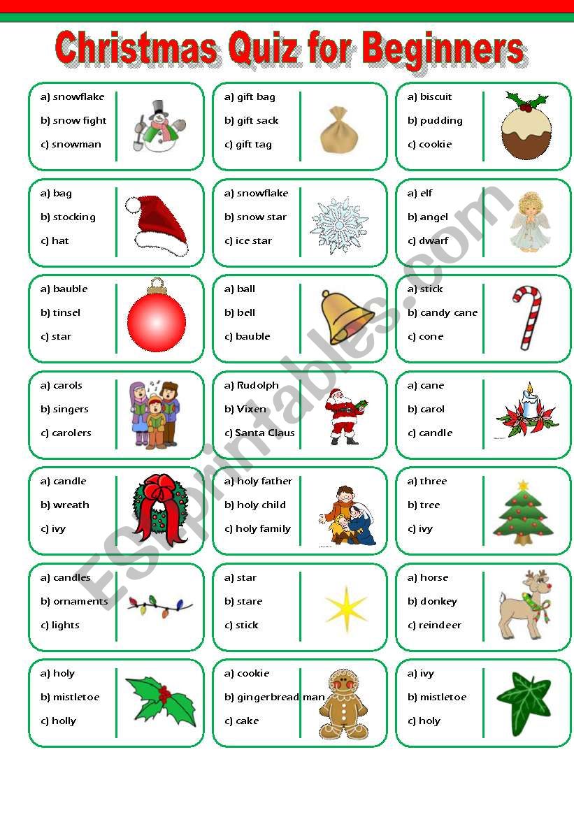 Christmas Vocabulary Quiz worksheet