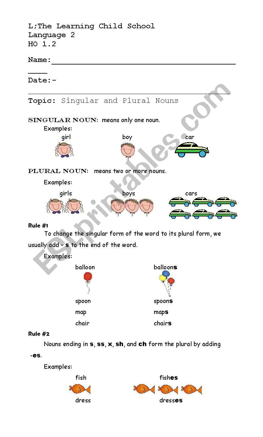 singular and plural rules worksheet
