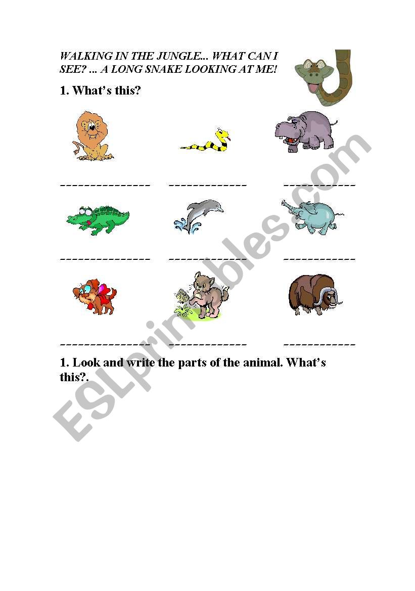 animals worksheet