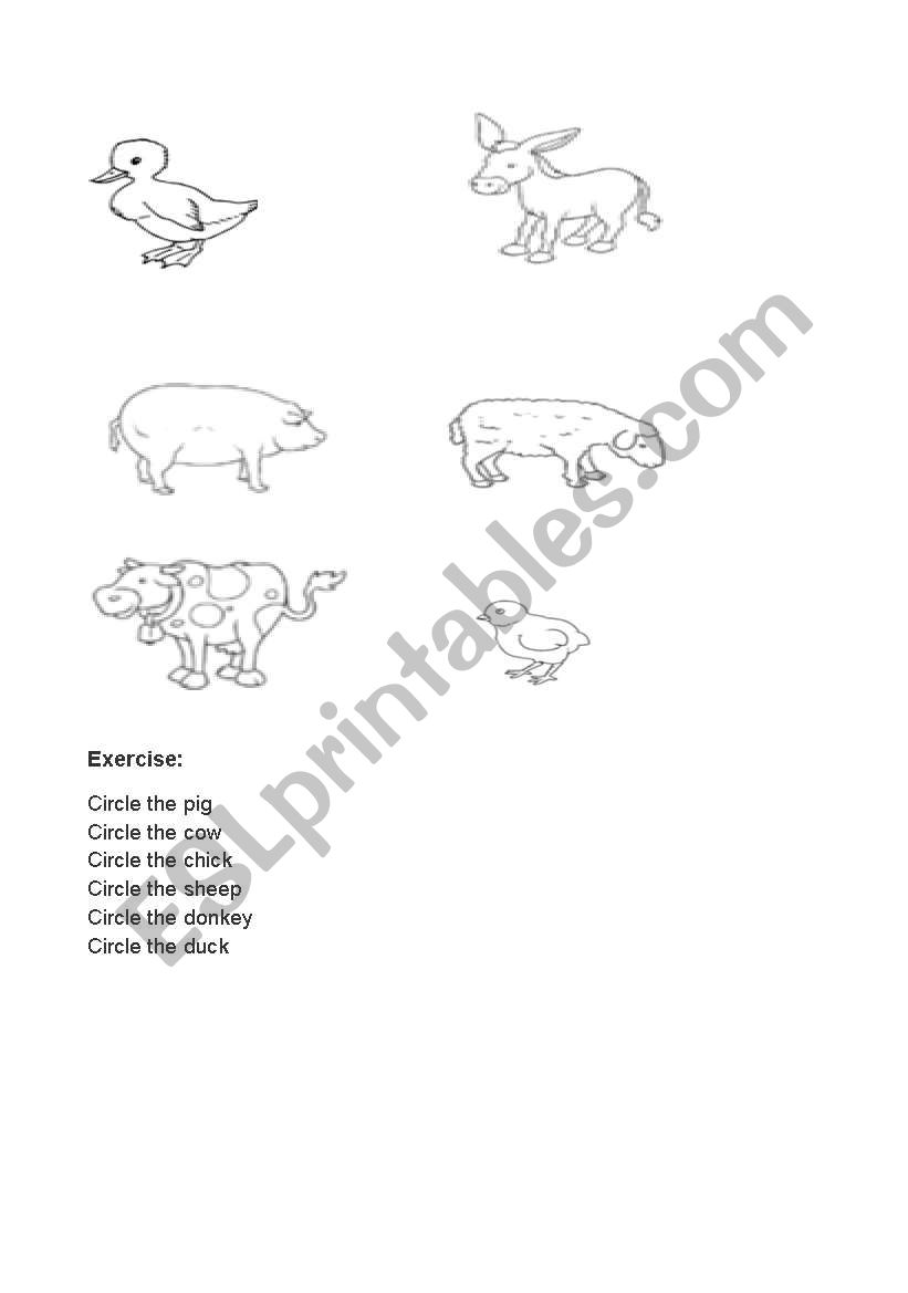 animals worksheet