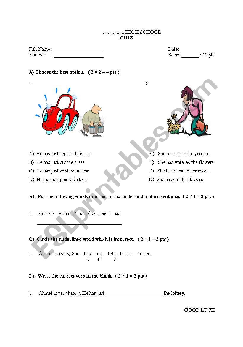 PRESENT PERFECT TENSE QUIZ worksheet