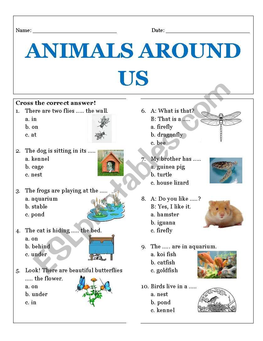 Animals Around Us - ESL worksheet by Rhae