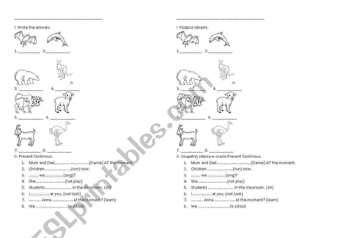 Animals, present continous worksheet