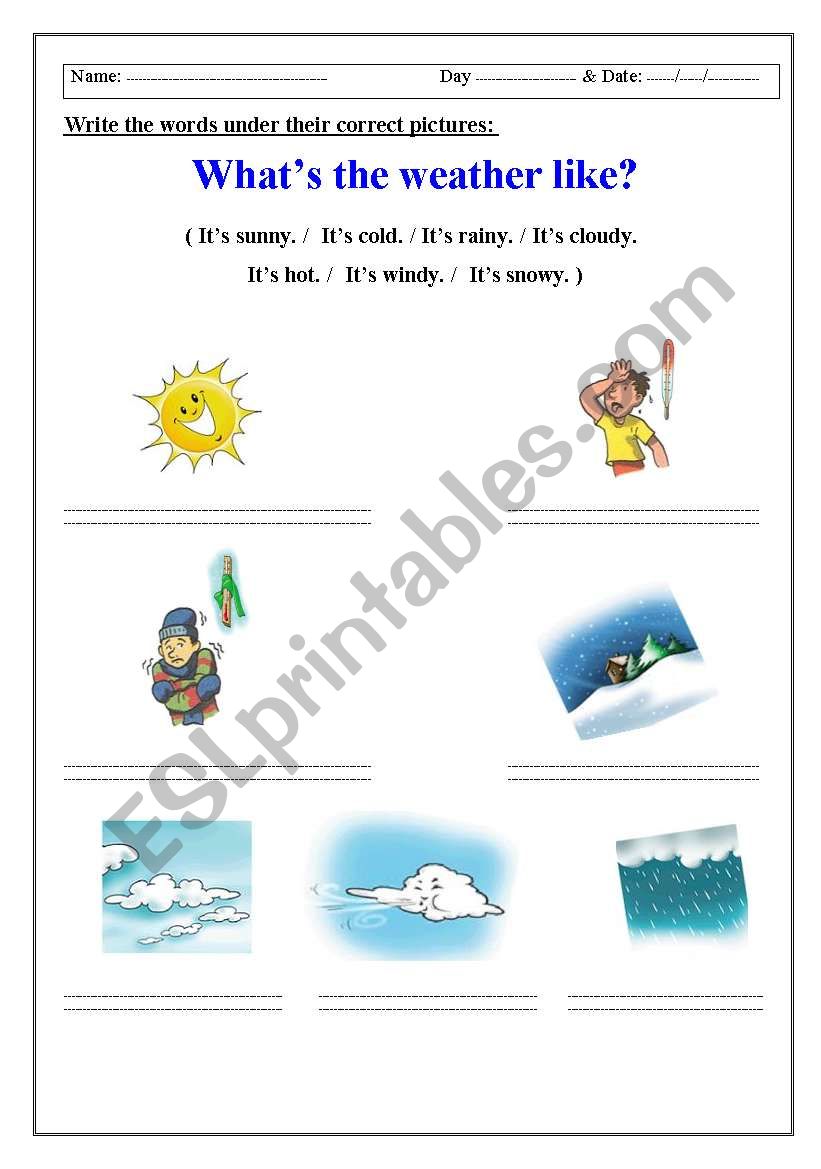 The Weather  worksheet