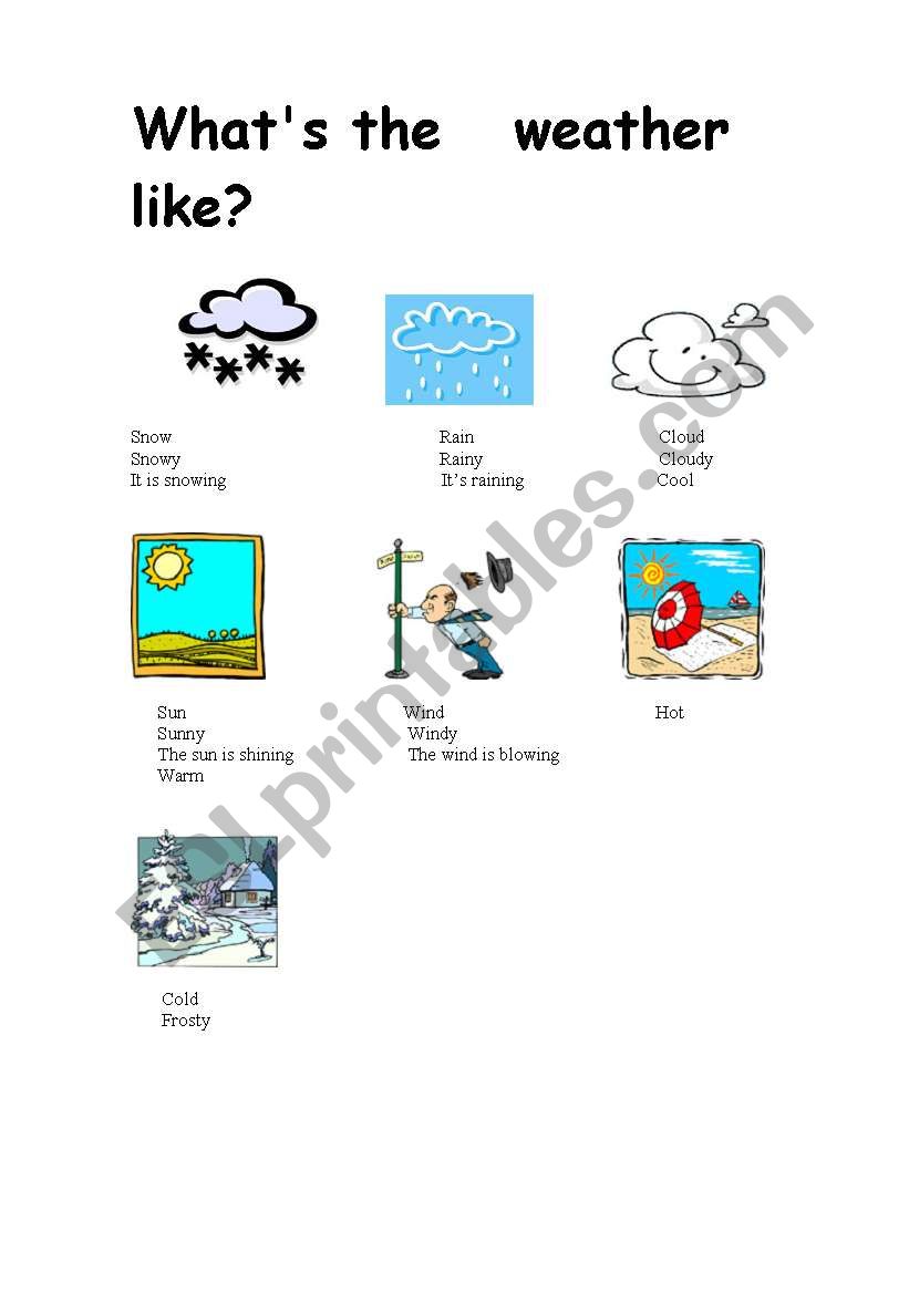 Weather worksheet