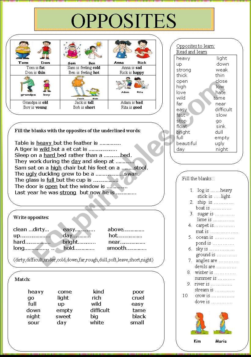 Opposites worksheet