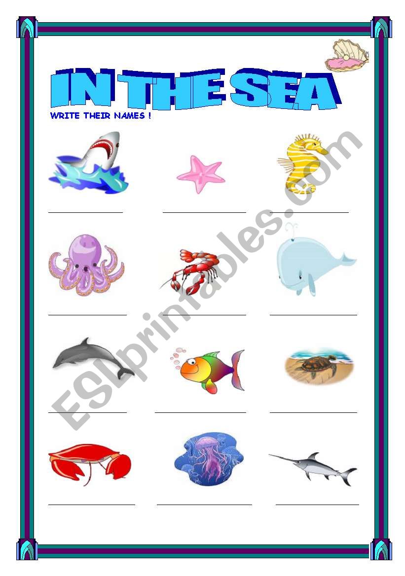sea animals  worksheet