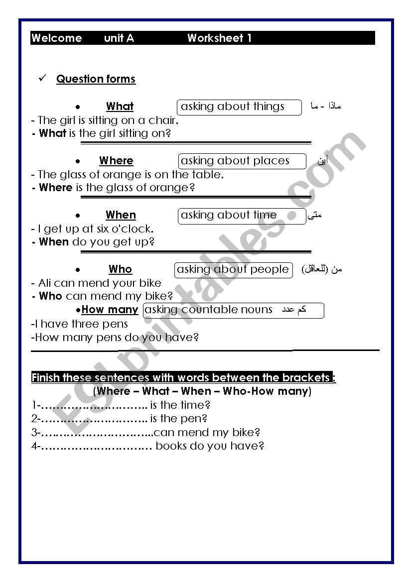 question formation worksheet