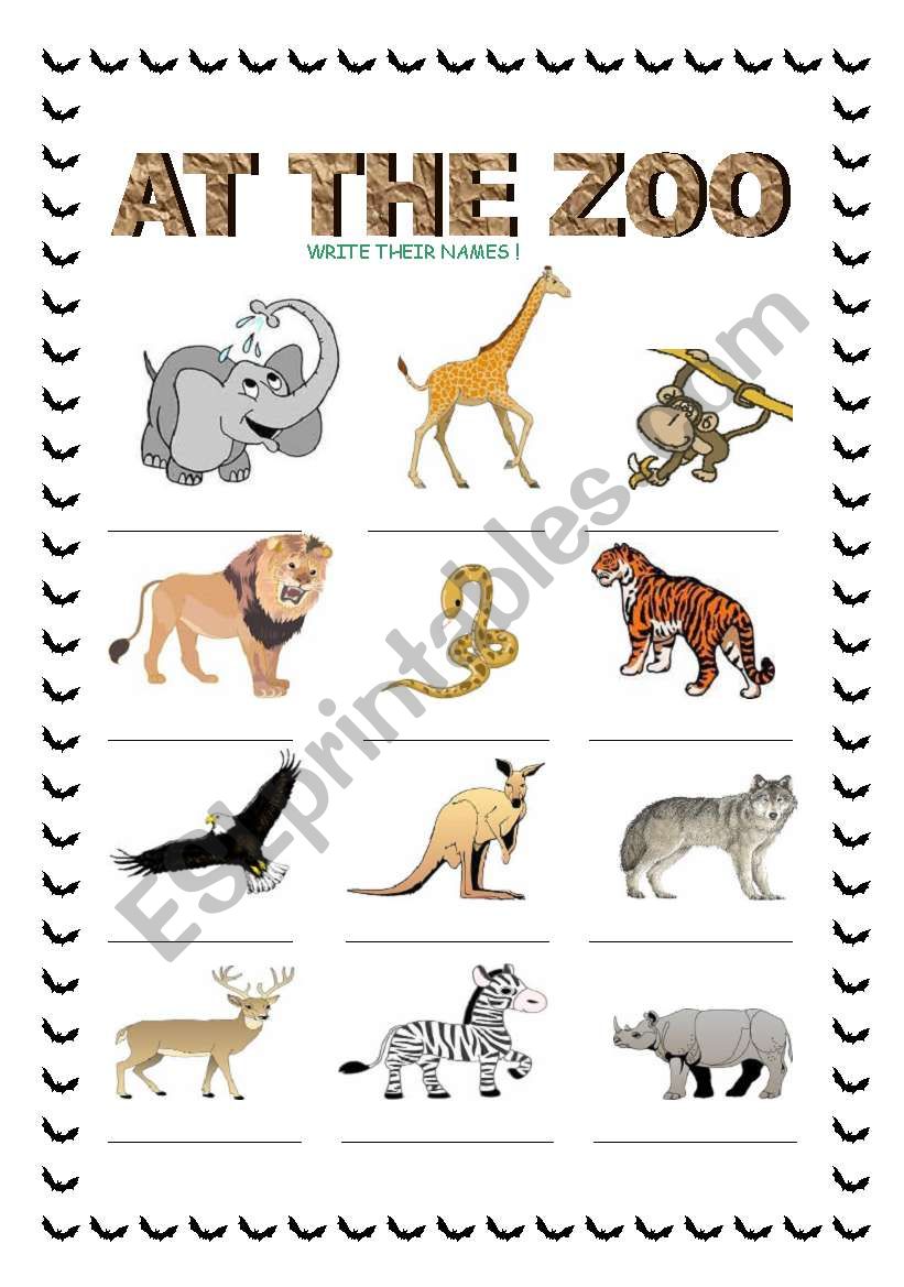 wild animals  worksheet