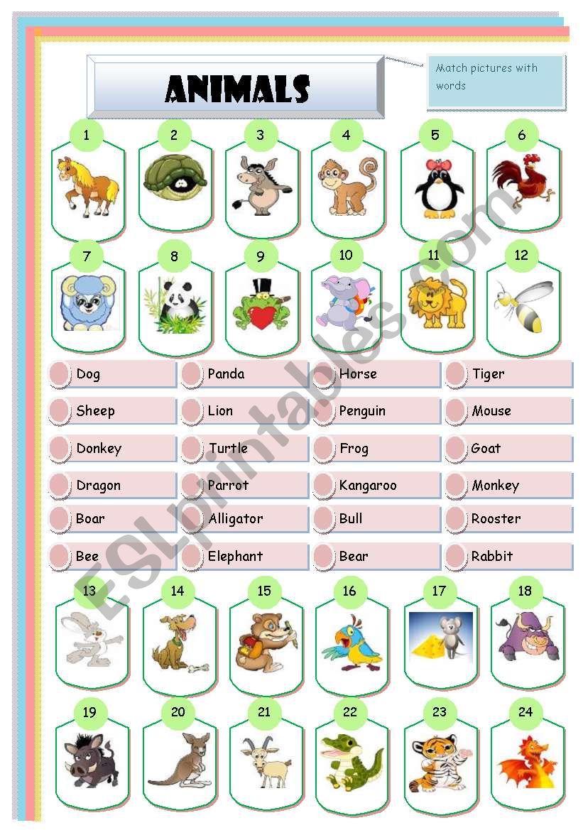 animals  worksheet