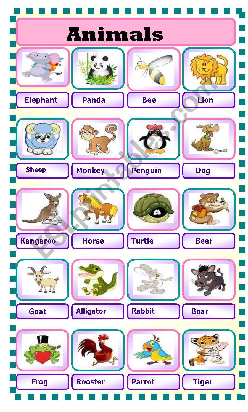 animals worksheet