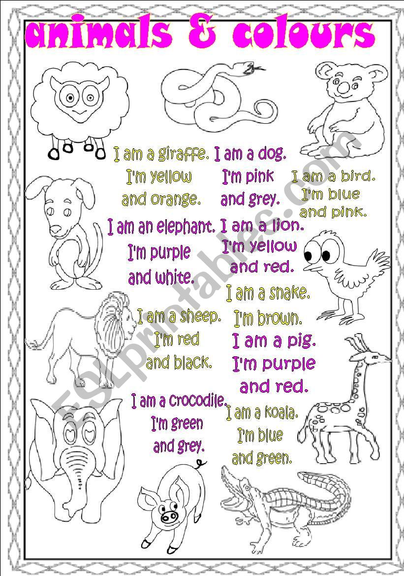 animals and colours worksheet