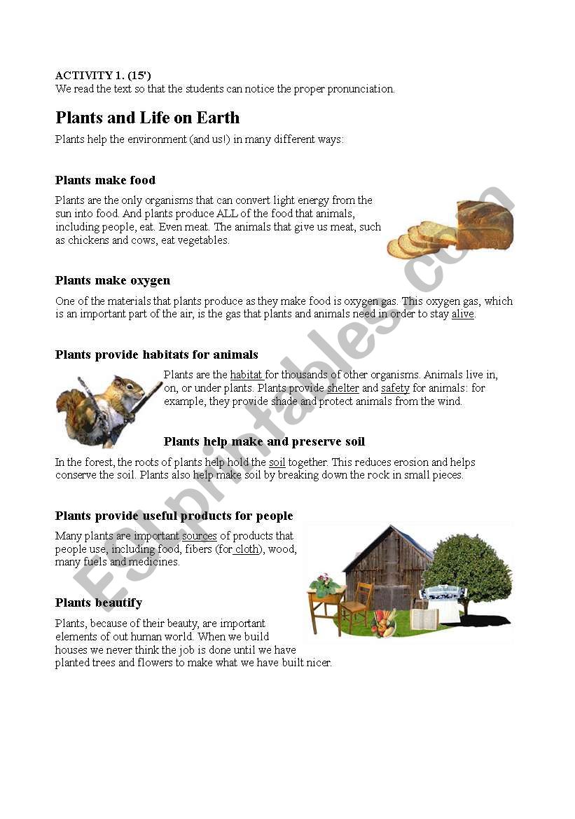 The importance of plants worksheet