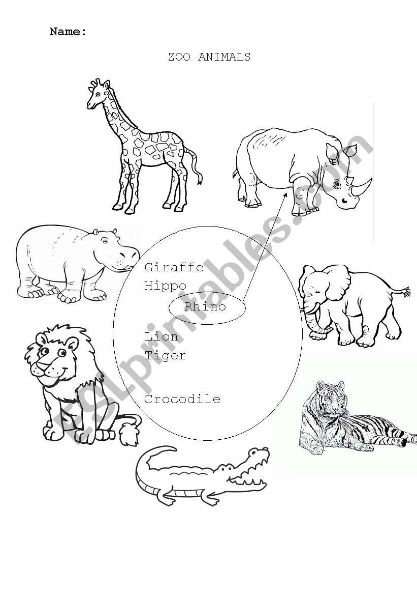 zoo animals worksheet