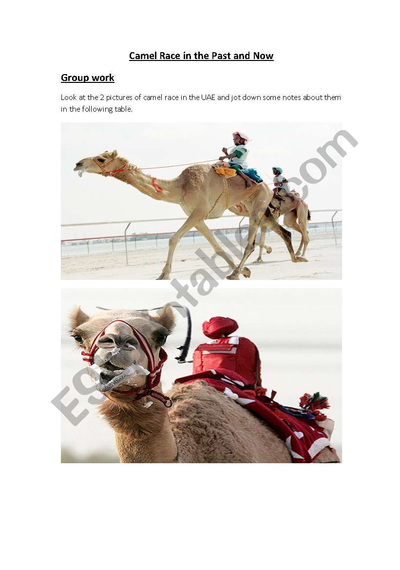 Camel race in the UAE between the past and now 