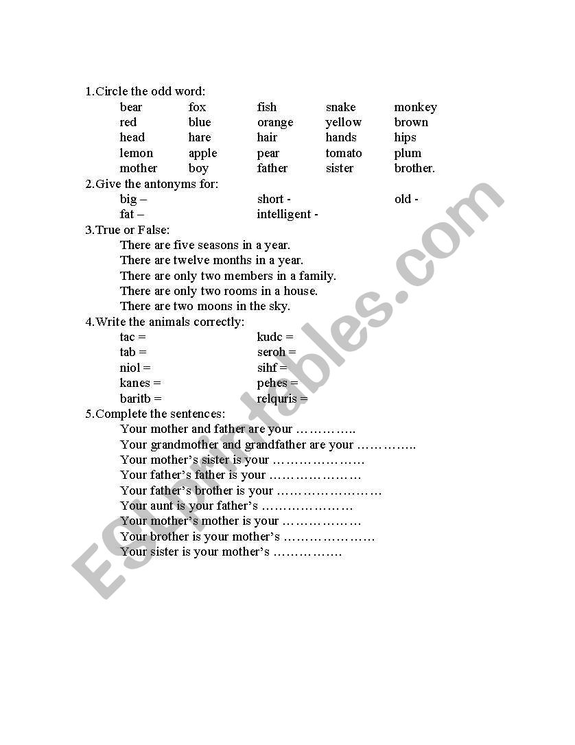 Vocabulary test beginners worksheet