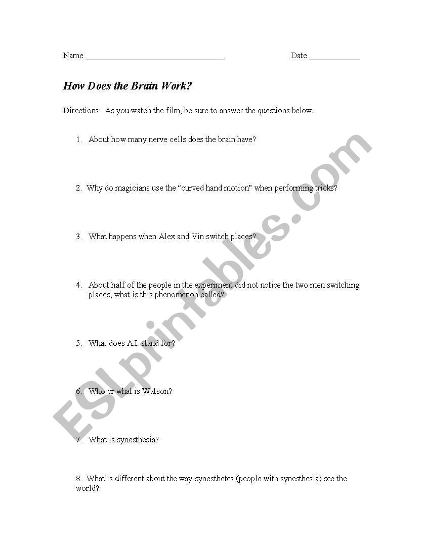How Does the Brain Work - Nova Special
