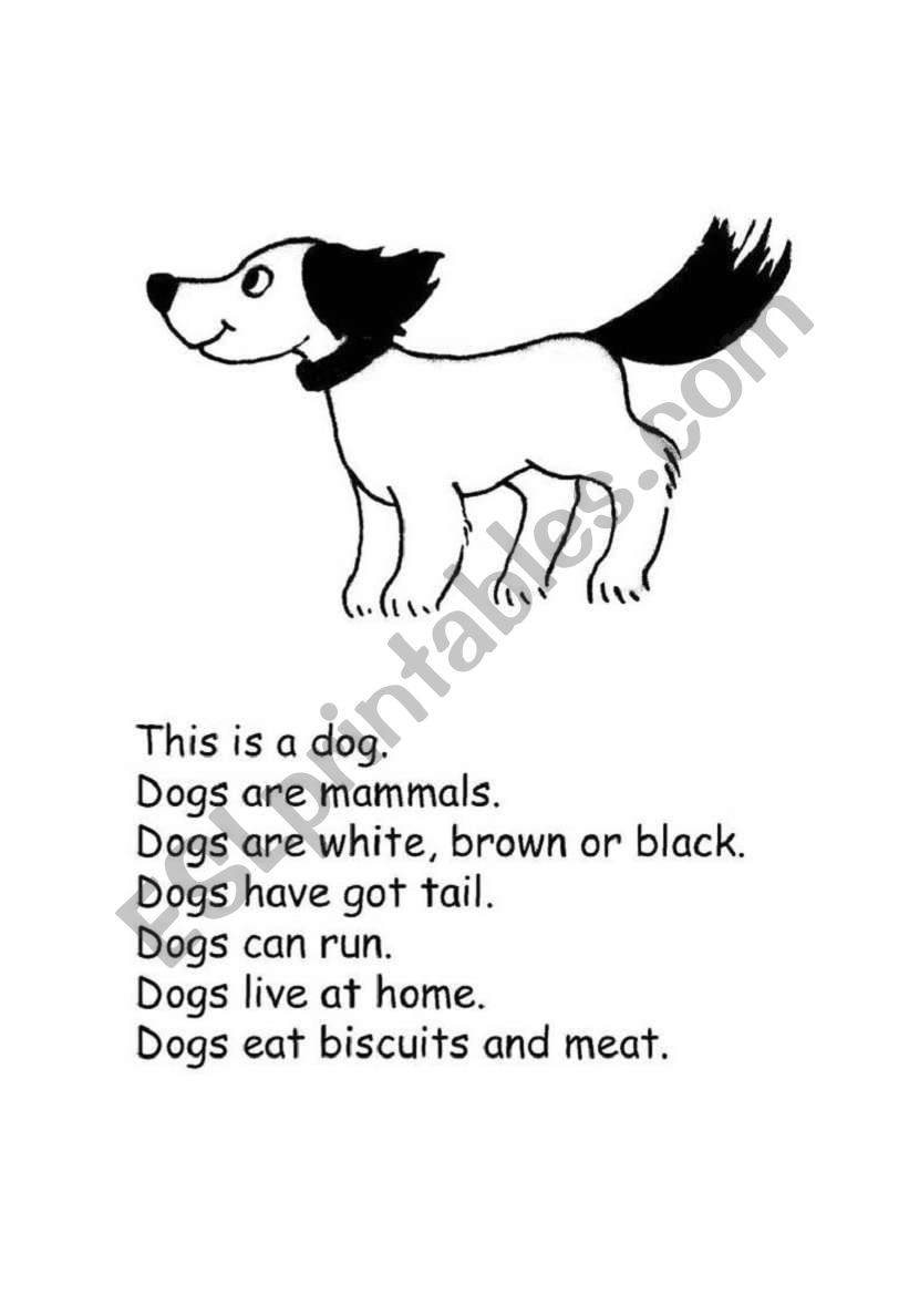 js animals dictation 02 worksheet