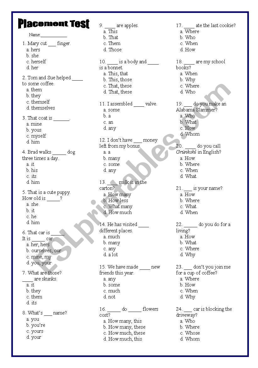 Placement/Diagnostic Test worksheet