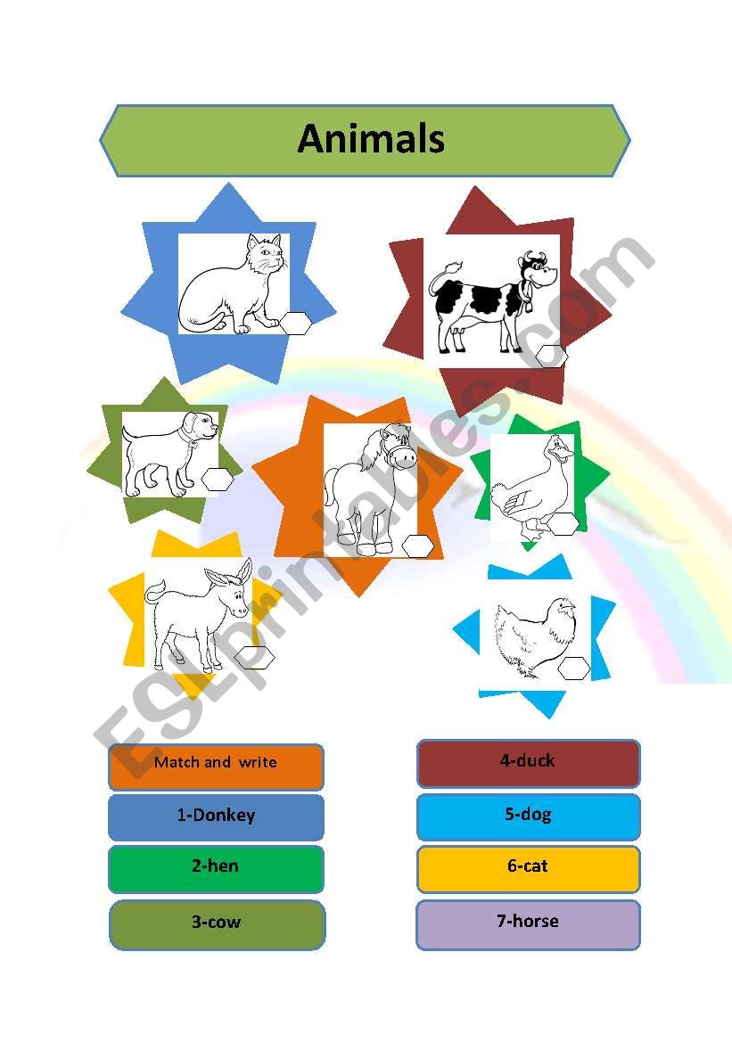 animals worksheet