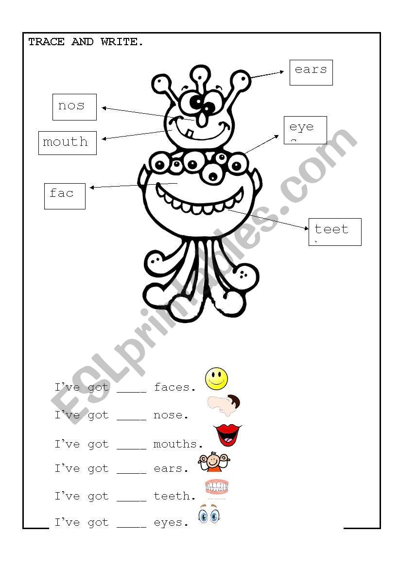 parts of face worksheet