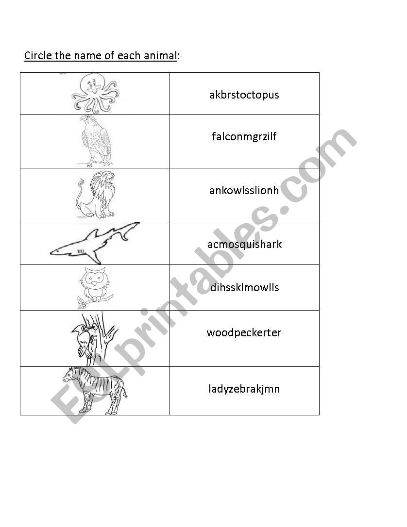 animals worksheet