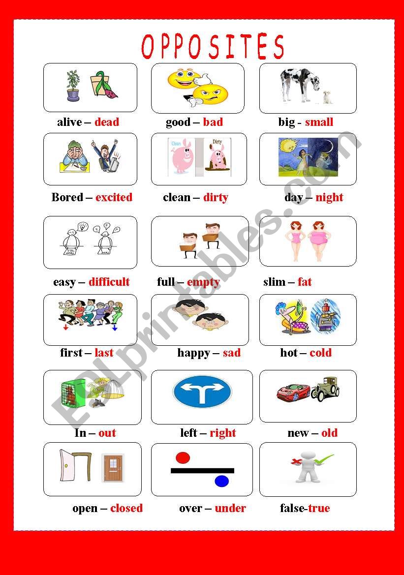 opposites worksheet