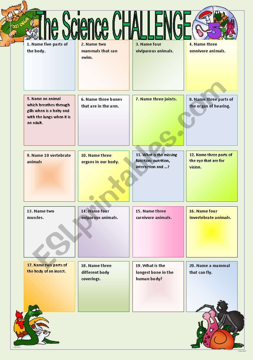 The Science Challenge worksheet