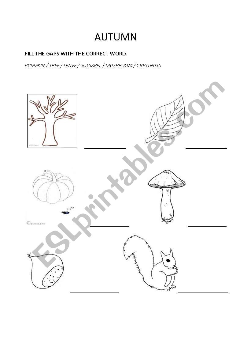 WORDS OF AUTUMN worksheet