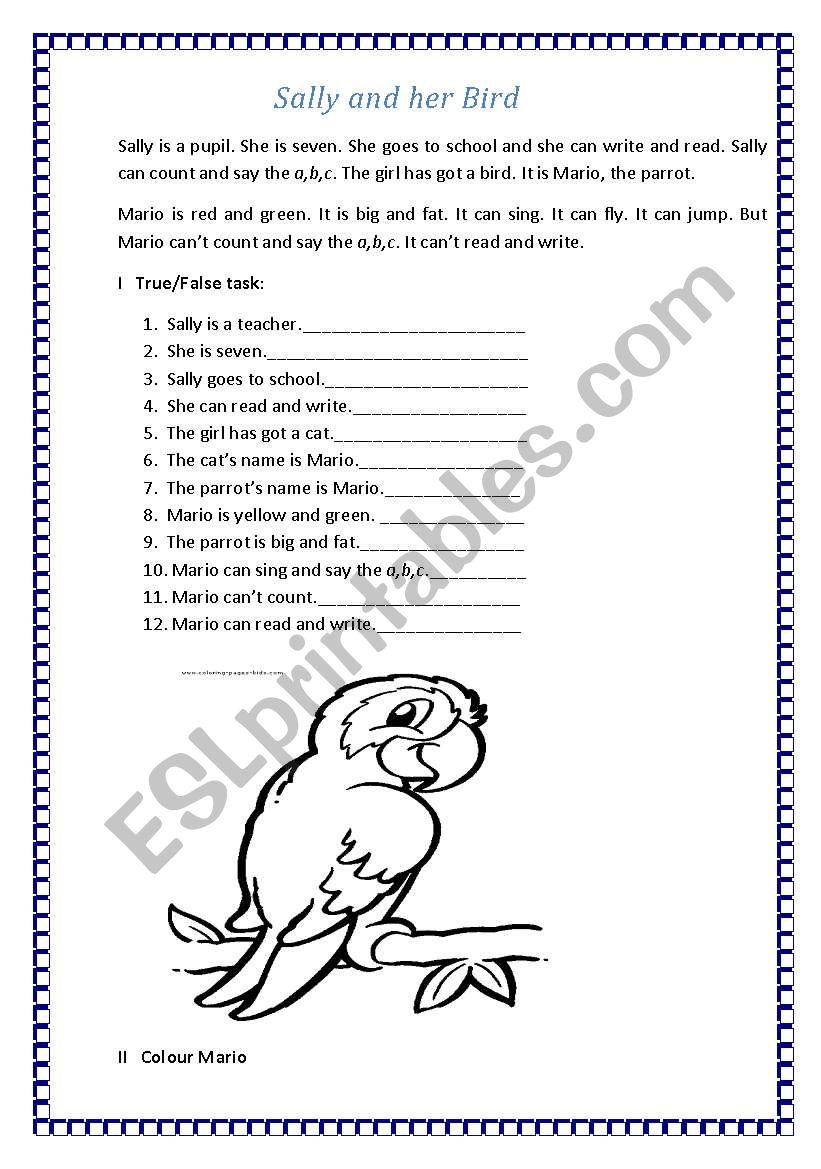 Sally and Her Bird worksheet